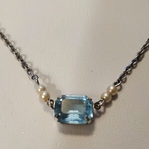 Elegant Silver & Blue Necklace #4347